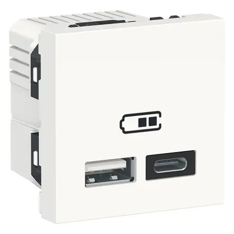 Kundfavorit Schneider Electric NU301818 USB-laddare